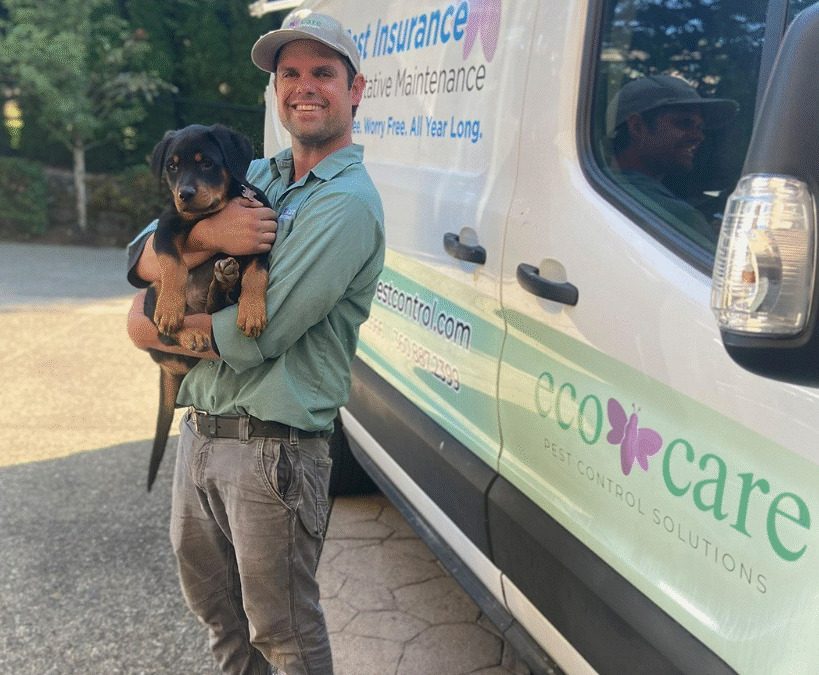 Planet-Safe Pest Control